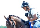 Exaggerator on the Belmont Park training track June 8