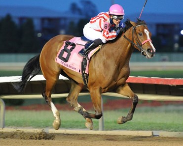 It's the Swede wins the 2016 Bob Bryant Stakes.