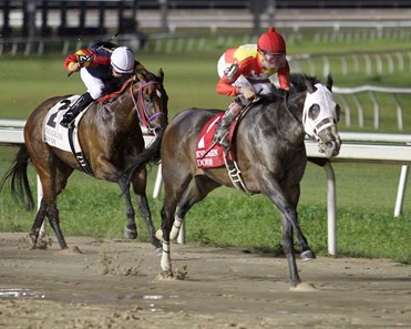 Look Into My Eyes wins the 2016 Tellike Stakes