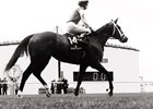 Royal Ascot 2016 Royal Ascot 2016