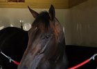 Tepin