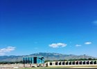 Downs at Albuquerque