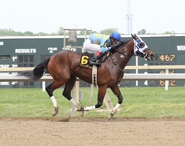 Disco Chick #6 with Trevor McCarthy riding won the $100,000 Foxy J G Stakes at Parx Racing in Bensalem, Pennsylvania on June 4, 2016.