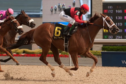 Calgary Cat with Jockey Eurico Da Silva wins the 2016 Achievement Stakes.