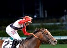 Bradester with Joe Bravo wins the Stephen Foster Handicap (gr. I)
at Churchill Downs on June 18, 2016.