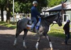 Belmont Stakes News Update for June 8 Belmont Stakes News Update for June 8