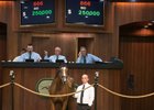 OBS June 2016 Hip 866 Into Mischief - Simple Symphony