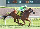 Dubacious wins Sydney Gendelman Memorial June 11