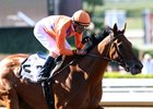 Stellar Wind to Challenge Beholder Again Stellar Wind to Challenge Beholder Again
