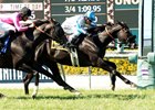 Midnight Storm Gets Shoemaker Mile Revenge Midnight Storm Gets Shoemaker Mile Revenge