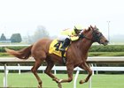 Big City Dreamin wins at Keeneland