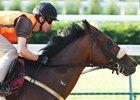 Suddenbreakingnews Set to Return at Oaklawn Suddenbreakingnews Set to Return at Oaklawn