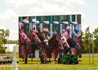 Laurel has new LED high-definition board