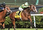 Cash Control wins the Old Forester Mint Julep at Churchill Downs