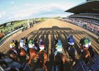 Belmont Stakes Winners as Sires Belmont Stakes Winners as Sires