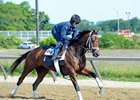 Stonestreet: Rachel's Valentina Retired Stonestreet: Rachel's Valentina Retired