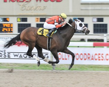 S'maverlous wins the 2016 Mountainview Handicap.