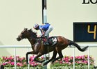 Order of St George wins the Gold Cup in Honour of the Queen's 90th Birthday.