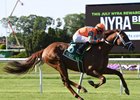 Big Rally for Da Big Hoss in Belmont Gold Cup Big Rally for Da Big Hoss in Belmont Gold Cup