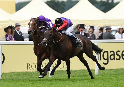 Dartmouth wins the 2016 Hardwicke Stakes at Royal Ascot on June 18, 2016.