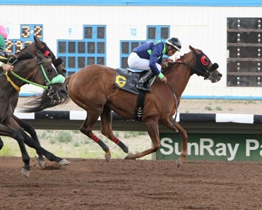 CASSY SUE wins the Dr. O.G. Fischer Memorial Handicap at SunRay Park June 13, 2016
