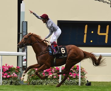 Galileo Gold, with Frankie Dettori, wins the St James's Palace Stakes June 14, 2016 at Royal Ascot.