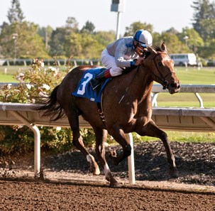 Seduire, with jockey Russell Baze, wins the 2014 Wine County Debutante at the Sonoma County Fair in California on August 8.