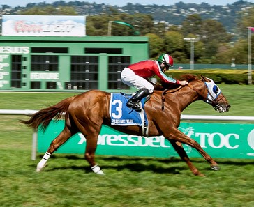 G.G. Ryder, ridden by Russell Baze, wins the $75,000 Alcatraz Stakes in a time of 1:36.98 for the one-mile turf race on May 11, 2014.