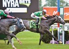 Pure Sensation wins the 2016 Jaipur