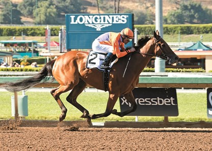 Spendthrift Farm's Beholder and jockey Gary Stevens win the Grade I, $400,000 Vanity Mile, Saturday, June 4, 2016 at Santa Anita Park, Arcadia CA.
© BENOIT PHOTO