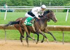 Dark Nile edges by Browse to win Our Mims Stakes