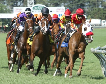 Aztec Brave wins the Mystic Lake Mile June 19, 2016 at Canterbury Park
