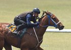 The best of two half-mile workers was Hip 130 by Colonel John