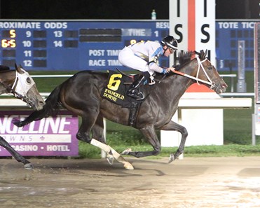 Steel Cut wins the 2016 Spotted Horse Stakes.