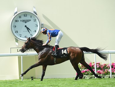 Order of St George (IRE) wins The Gold Cup (In Honour Of The Queen's 90th Birthday) Stakes at Royal Ascot June 16, 2016.
