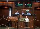 Two Big-Priced Horses Sell at OBS Two Big-Priced Horses Sell at OBS