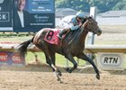 Mo Tom winning the Ohio Derby at Thistledown