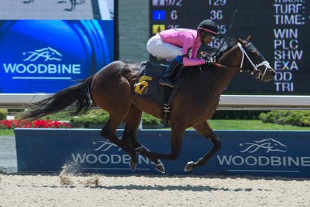 Jockey Patrick Husbands captures his 3,000 lifetime win. Woodbine, Race 1, June 18, 2016. Shez a Ten I Know.