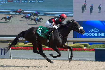 Jockey Jesse Campbell guides Phoenix Stable's Hot Kiss to victory in the $100,000 Trillium Stakes at WoodbineJune 19, 2016.