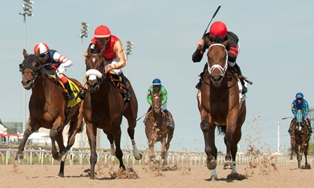 Jockey Emma-Jayne Wilson guides Charming Delilah to victory in the $100,000 dollar Sweet Briar Too Stakes.