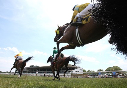 Andi'amu #6 (L) with Jack Doyle riding won the Ratings Hurdle Handicap at Monmouth Park in Oceanport, New Jersey on Friday June 17, 2016. Photo By Bill Denver/EQUI-PHOTO