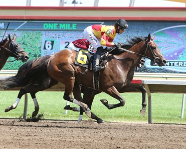 Thunder and Honey "1,000 Career Win for Trainer Mac Robertson" at Canterbury Park June 18, 2016