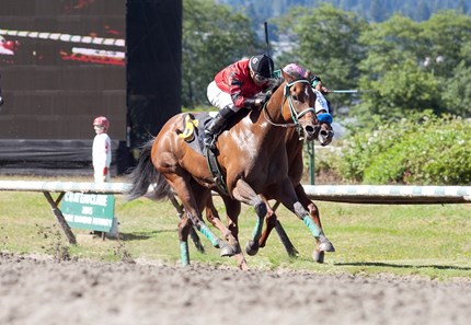 Avadiva winning the Strawberry Morn Stakes on June 4th 2016 with Skyler White Shield.
