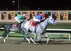 Citizen Geller wins O.D. McDonald Stakes