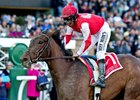 Birdatthewire Makes Gulfstream Return Birdatthewire Makes Gulfstream Return