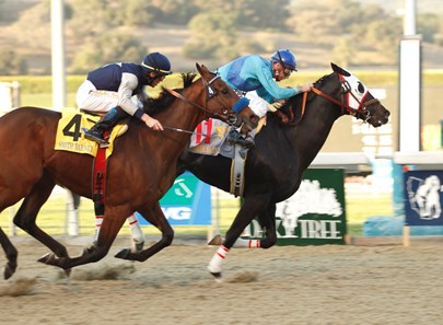 Bold Chieftain and Russell Baze hold off Celtic Dreamin and Garrett Gomez to win the $250,000 California Cup Classic Nov. 3, 2007.