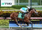 Requite Wins Parrot Key Stakes at Gulfstream