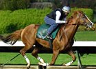 California Chrome Logs Weekly Drill at Los Al California Chrome Logs Weekly Drill at Los Al