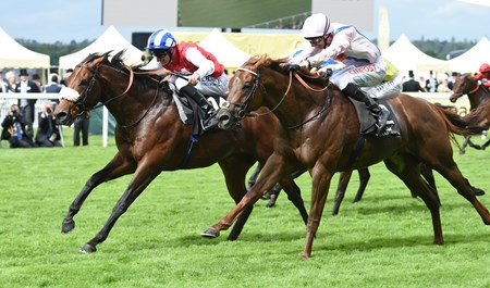 Profitable, with jockey Adam Kirby, wins the King's Stand Stakes at Royal Ascot June 14, 2016.