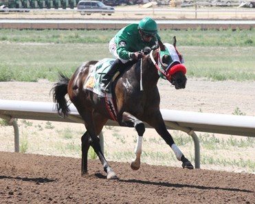 El Tule wins the 2016 Totah Stakes.